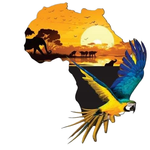 Damon Quest Travel & Tours